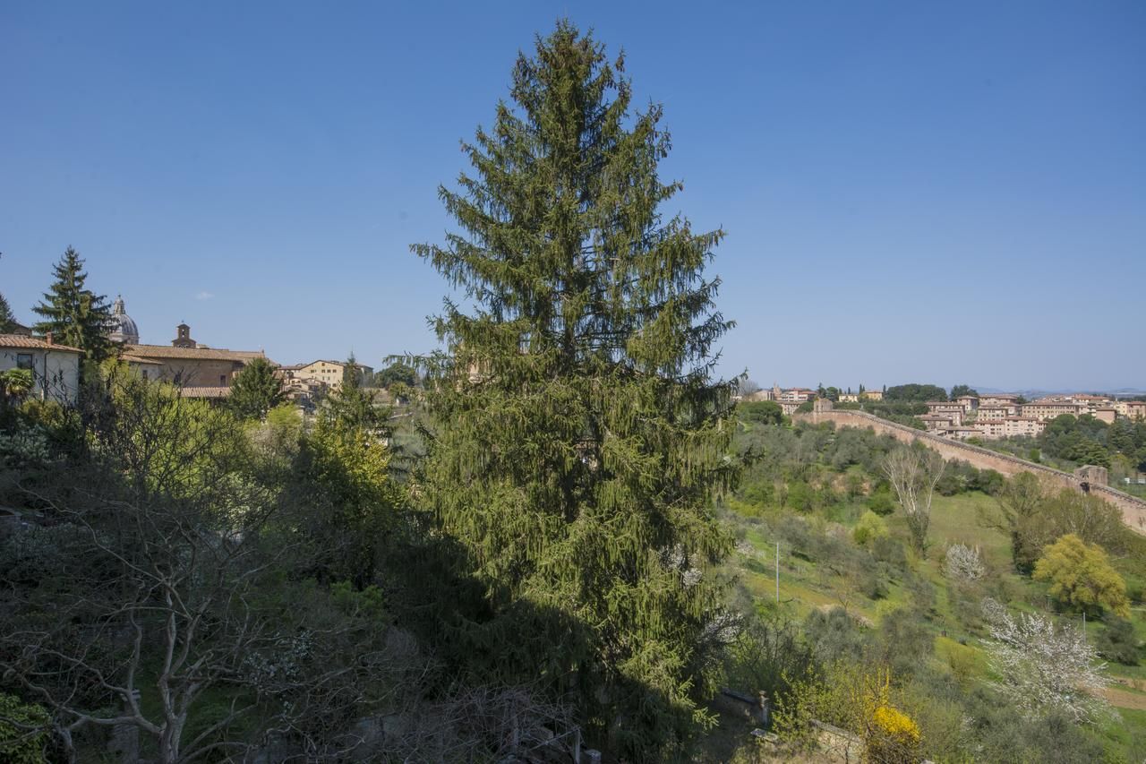 B&B Pantaneto Palazzo Bulgarini