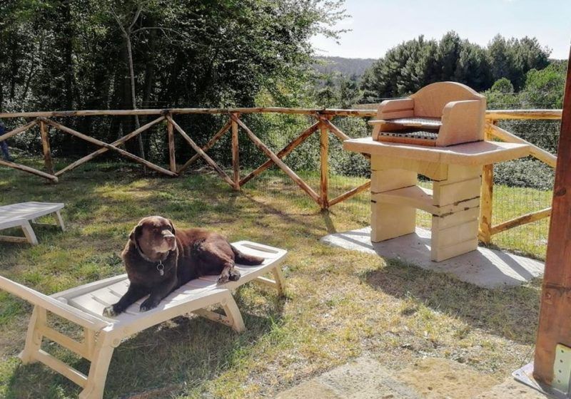 Agriturismo Fattoria La Prugnola