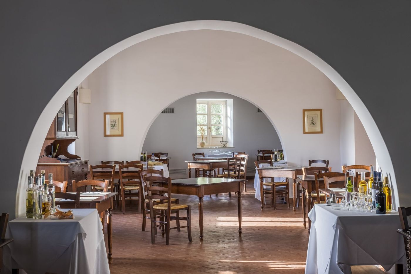 Masseria degli ulivi