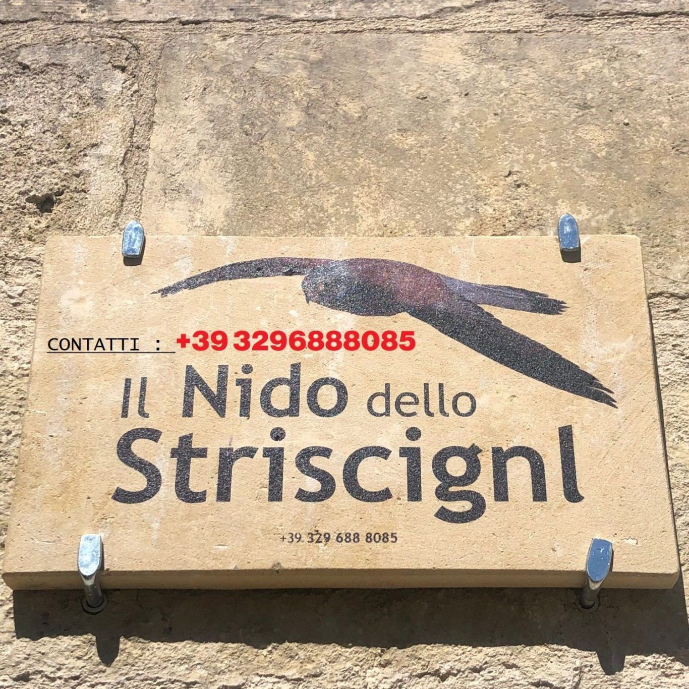 Il Nido dello Striscignl