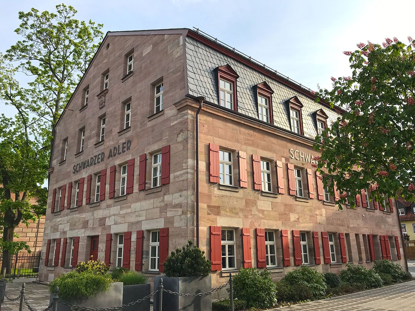 Schwarzer Adler