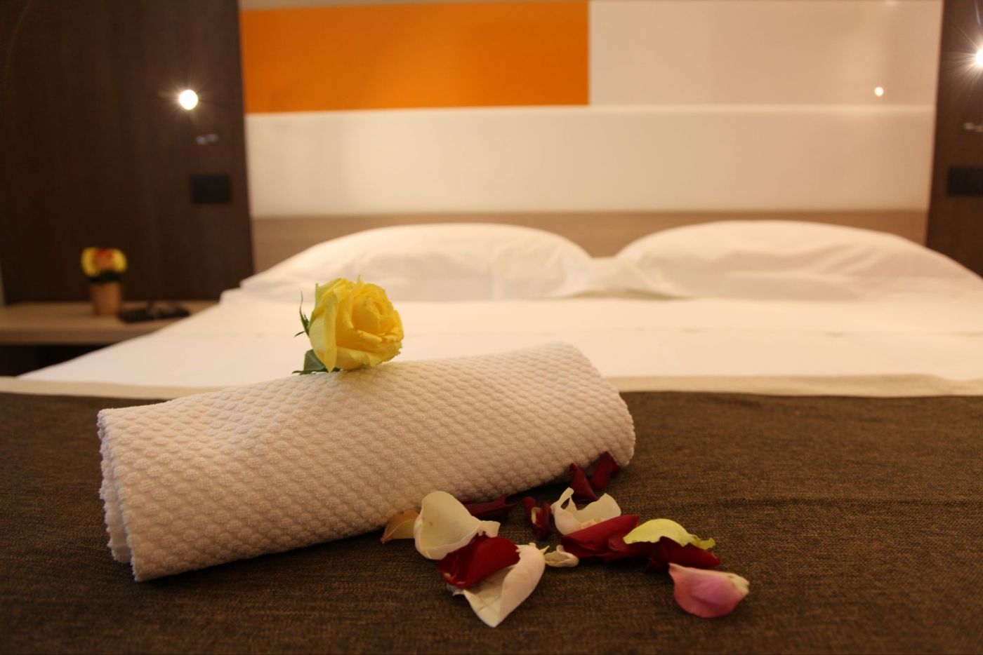 Hotel Metro'