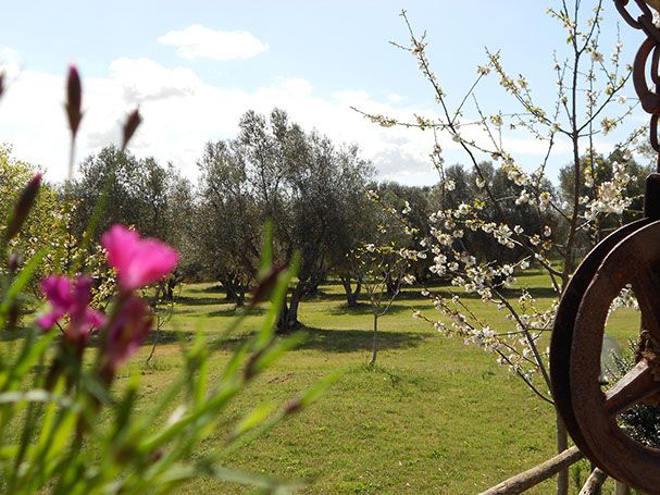 Agriturismo San Matteo