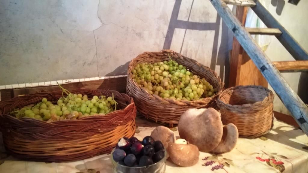 Cas'Antica Soprana