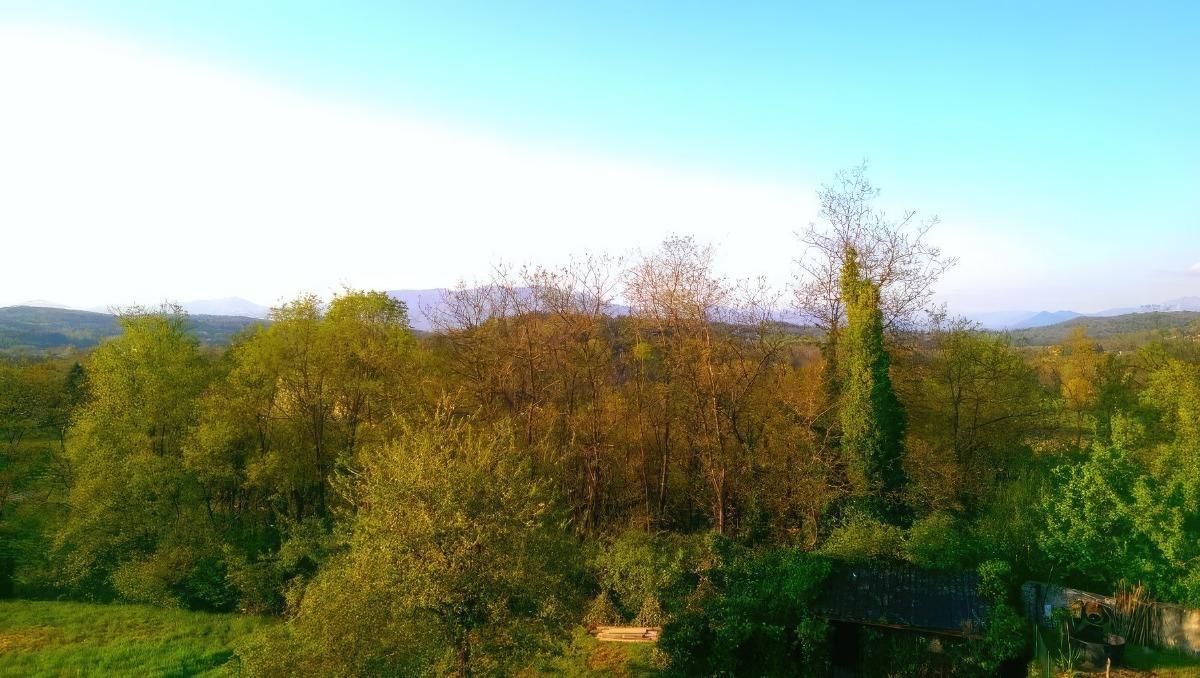 Vinago Belvedere