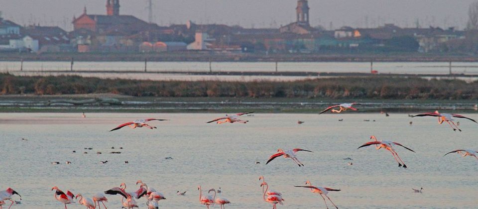 B&B Comacchio