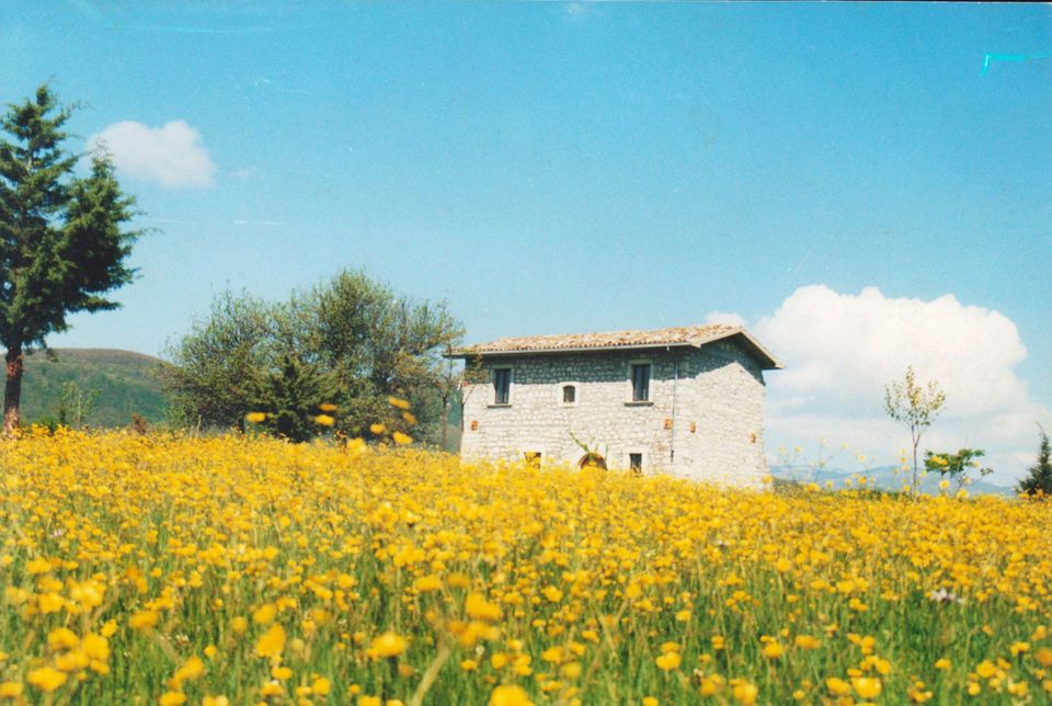 Casino Tonti Iarussi
