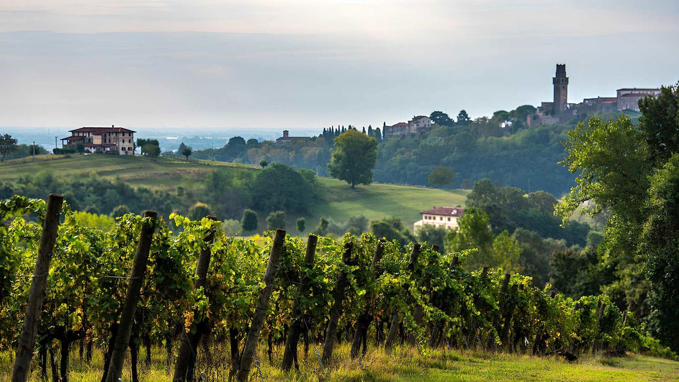 Foresteria Borgoluce