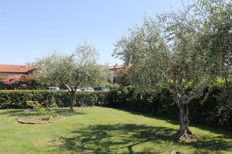 Hotel Andreis