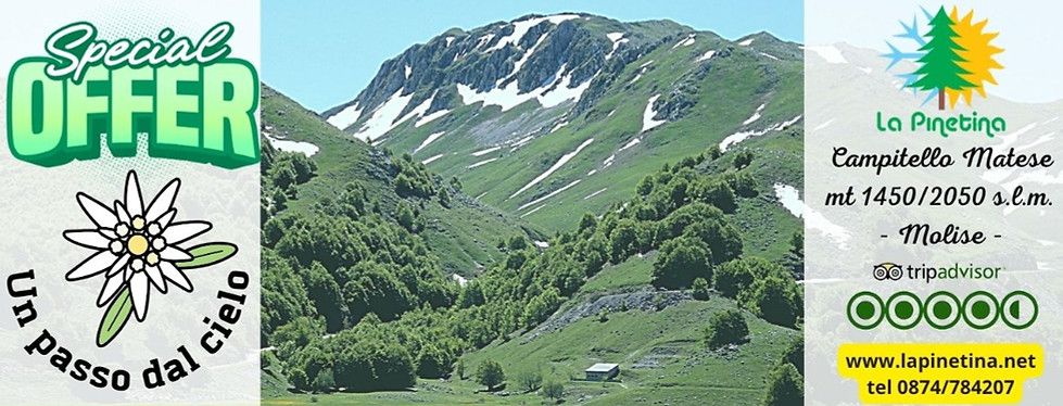 La Pinetina