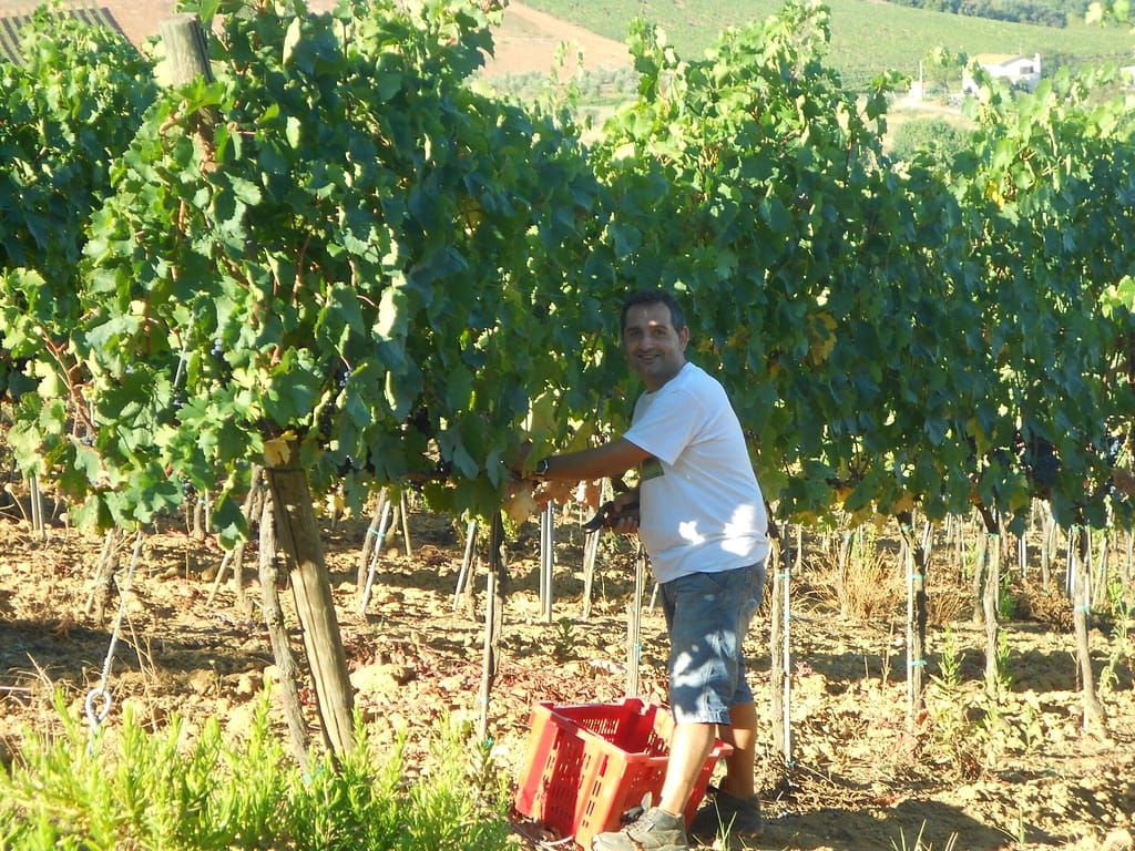 Agriturismo Cupido - Paradiso in Maremma
