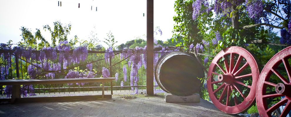 Agriturismo Cognanello