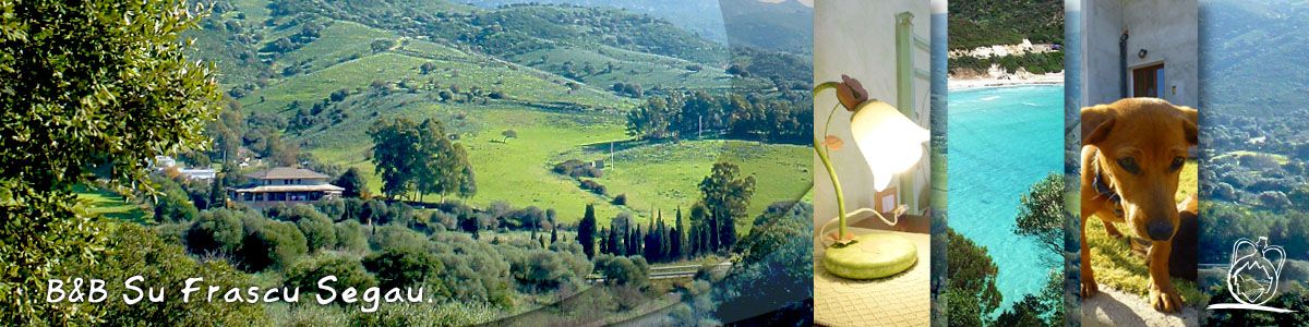 B&B Su Frascu Segau Teulada