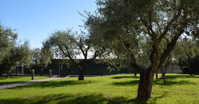 B&B Fior di Magnolia