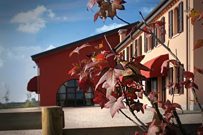 Agriturismo Ronchetrin