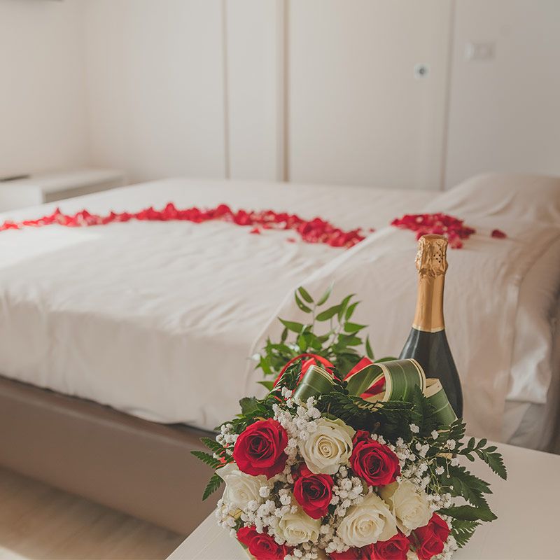 Terra Ferma Rooms and More