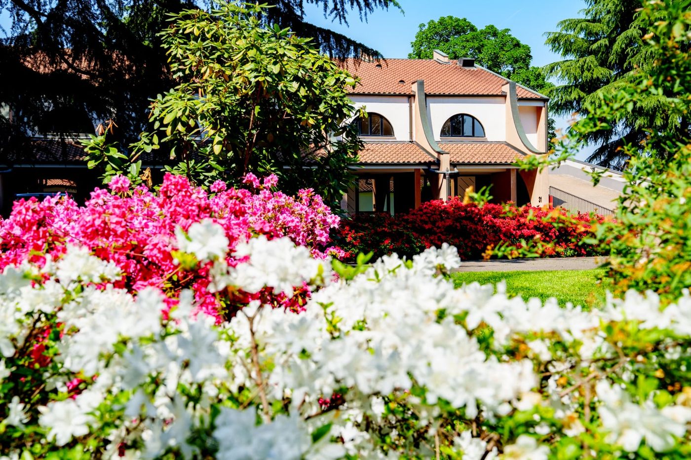Hotel Pineta