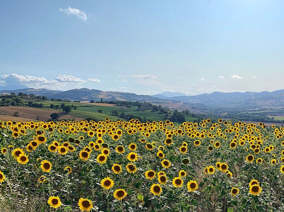 Vecchi Maestri B&B