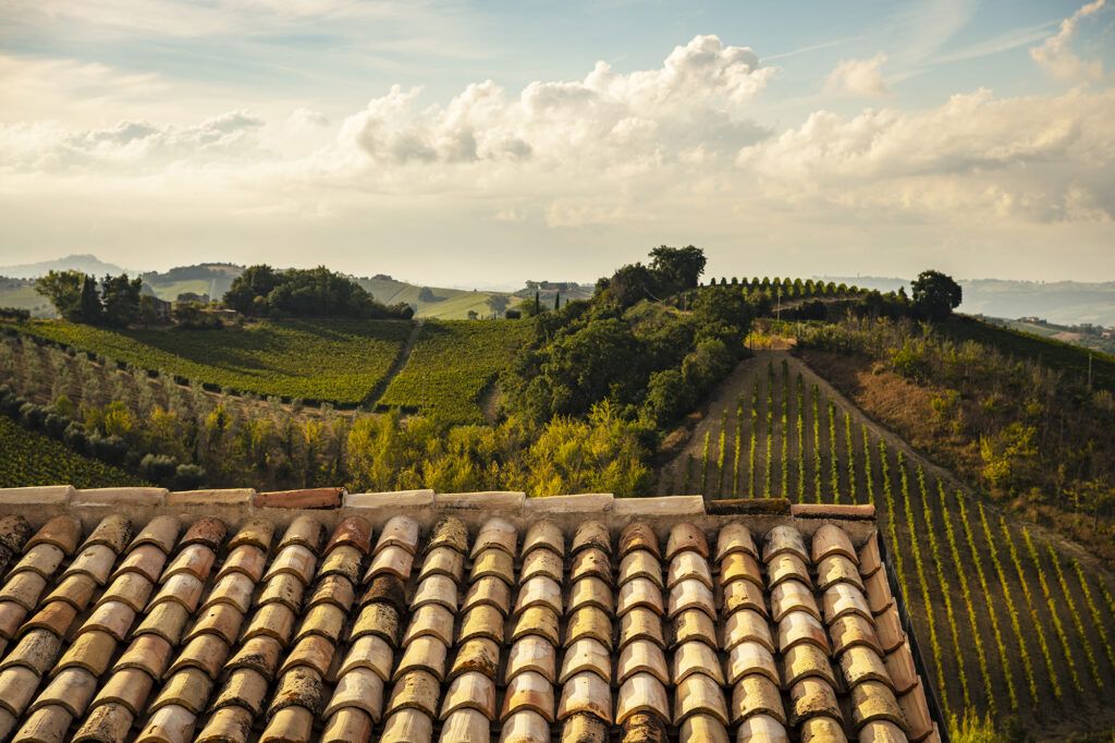 Relais Cocci Grifoni