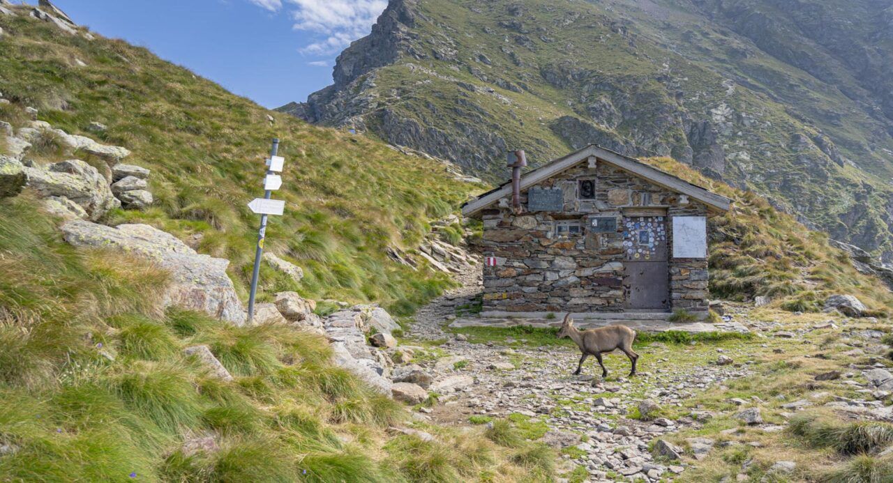 Legno Antico Chalet