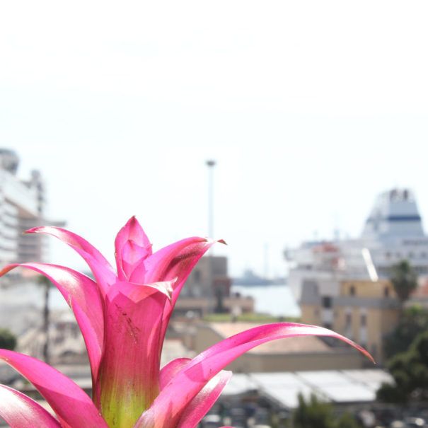 La Finestra sul Porto - Rooms & Suite
