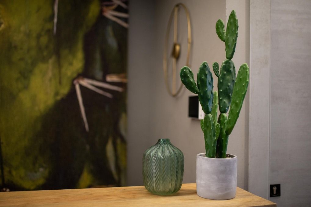 Opuntia Rooms