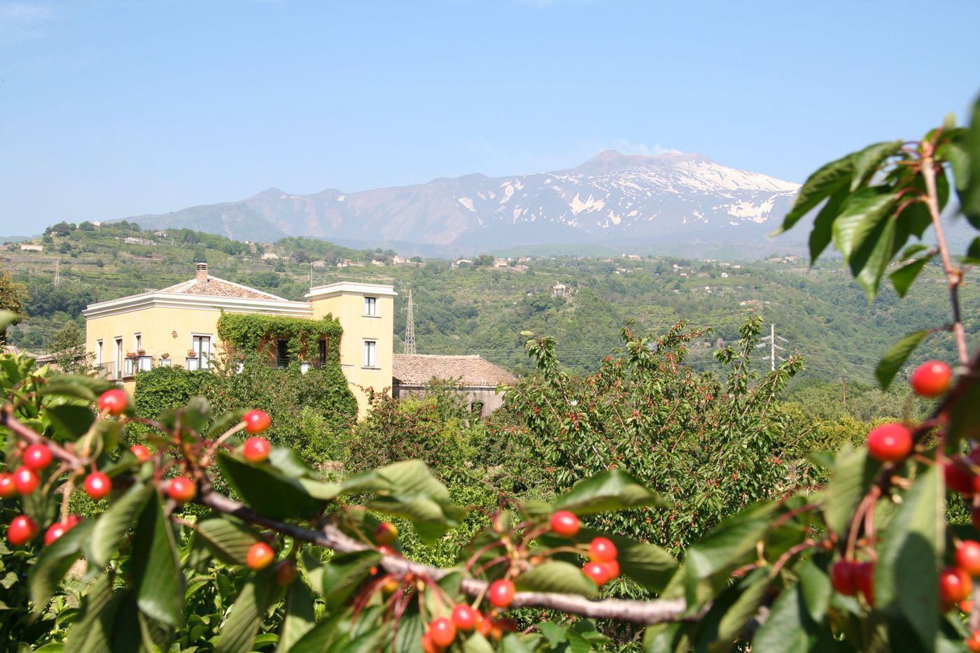Baglio delle Rose