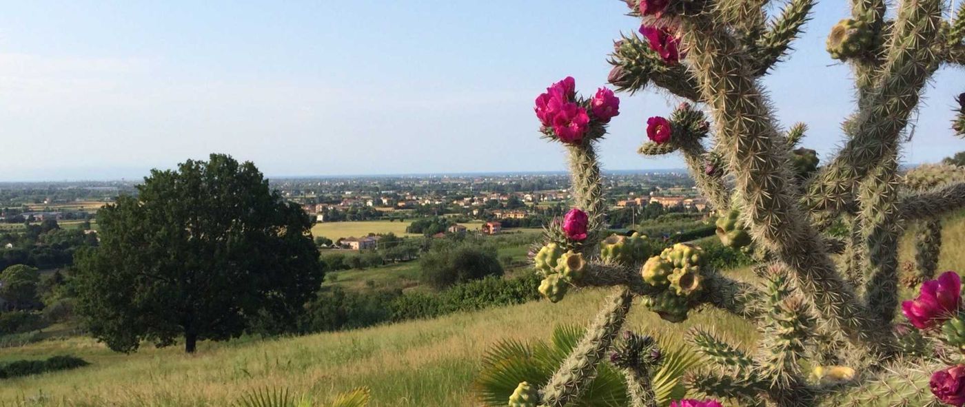 La Villa dell'Artista