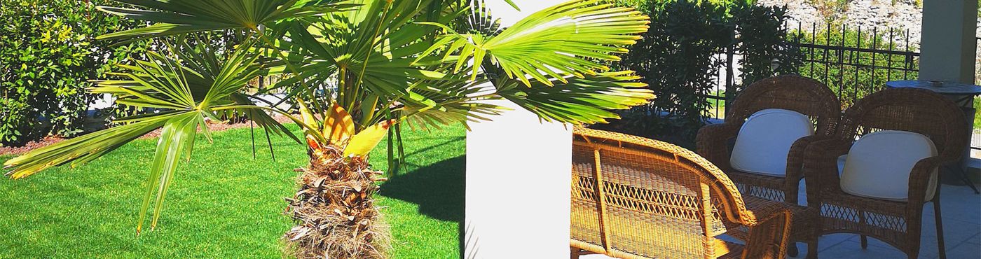 Bed and Breakfast Casa Speri