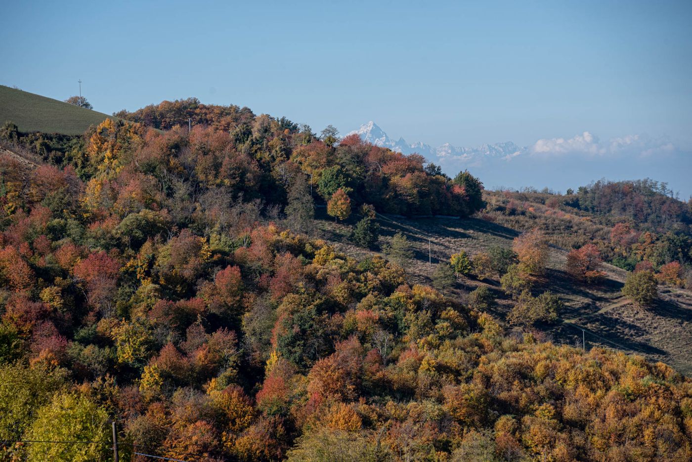 Villa Alta Langa