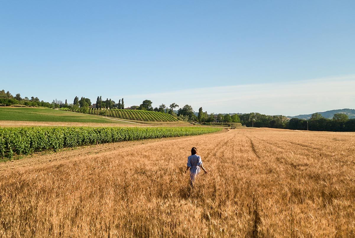 Tenuta Santi Giacomo e Filippo