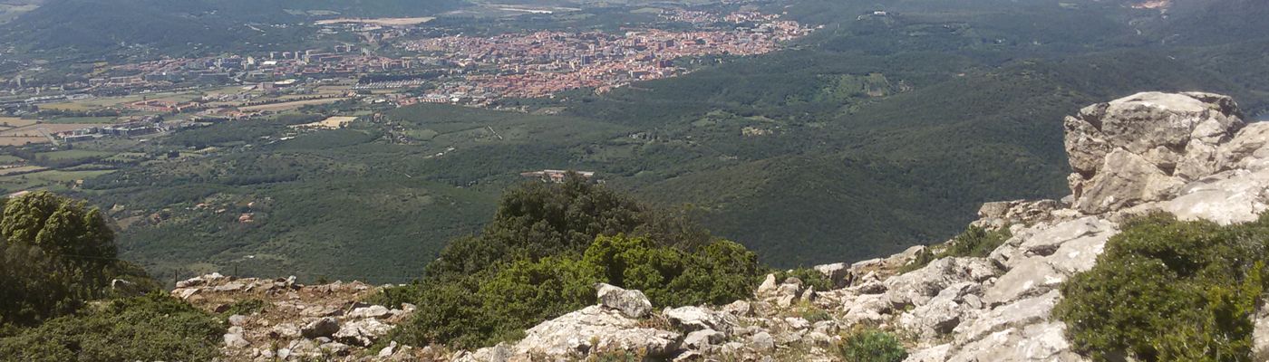 Bed & Breakfast L'aquilino