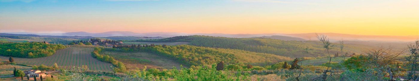 Bed and Breakfast Del Giglio