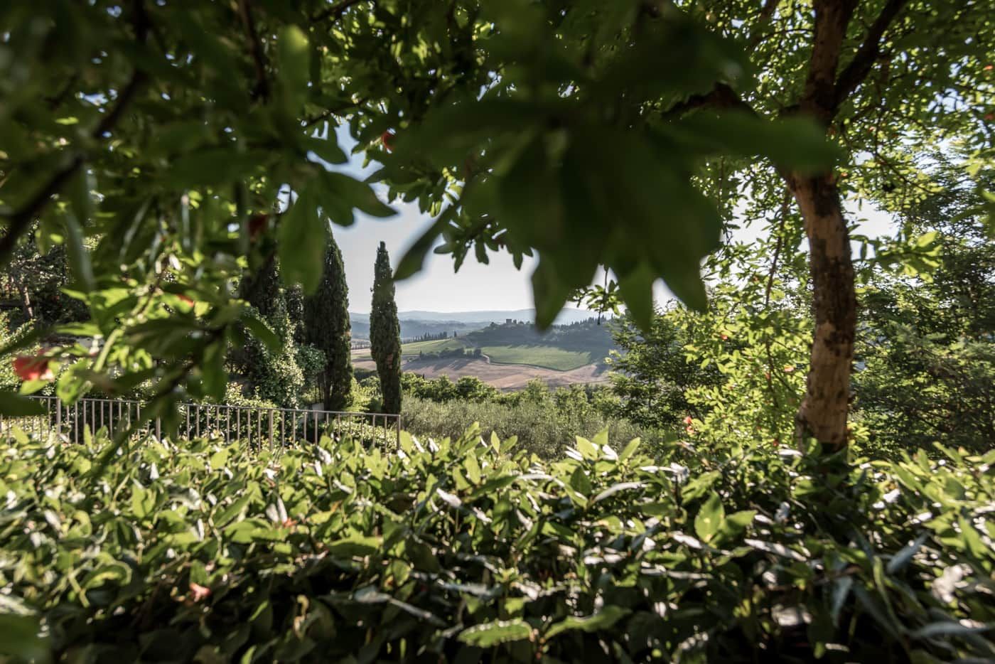 I Melograni Del Chianti