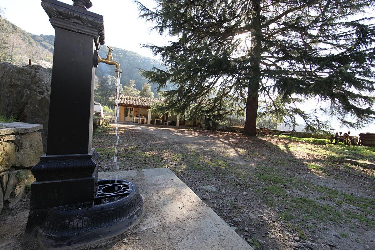 Fonte di Zeno