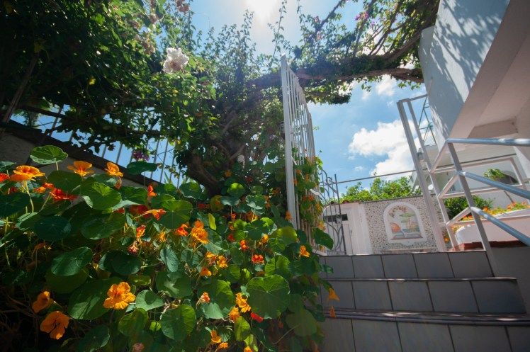 Hotel Villa Cecilia - Isola D'Ischia