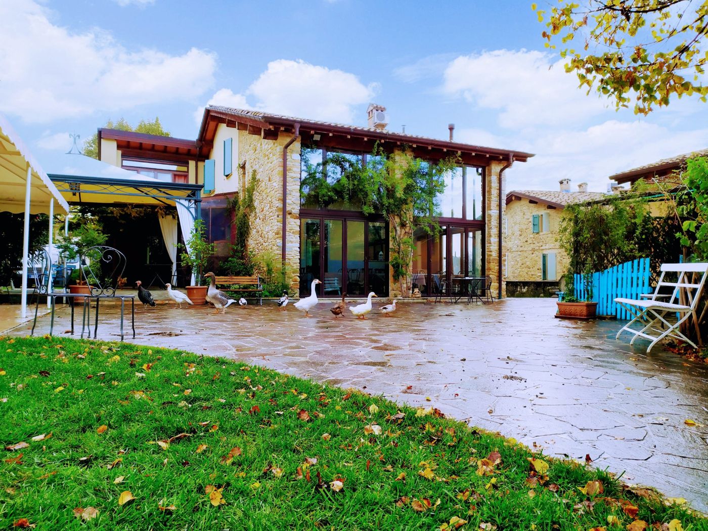 Il Gelso Agriturismo e Azienda Agricola