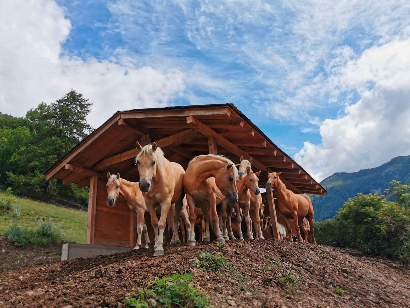 Agriturismo Donec