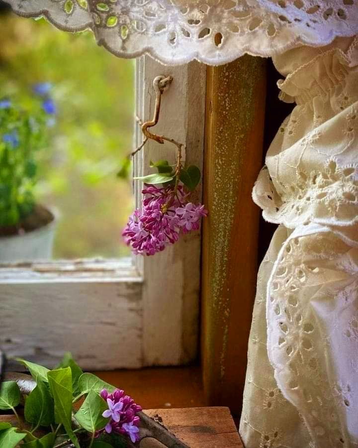 Lillac Cottage bed and breakfast