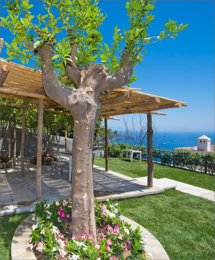 Albadamare