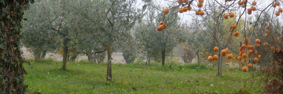 La Valeriana Farm Apartments