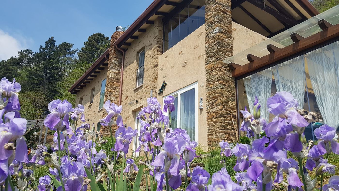 B&B Tenuta delle Stelle
