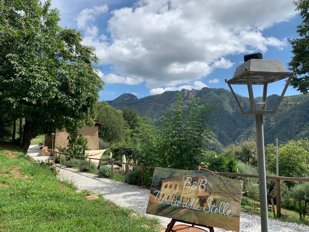 B&B Tenuta delle Stelle