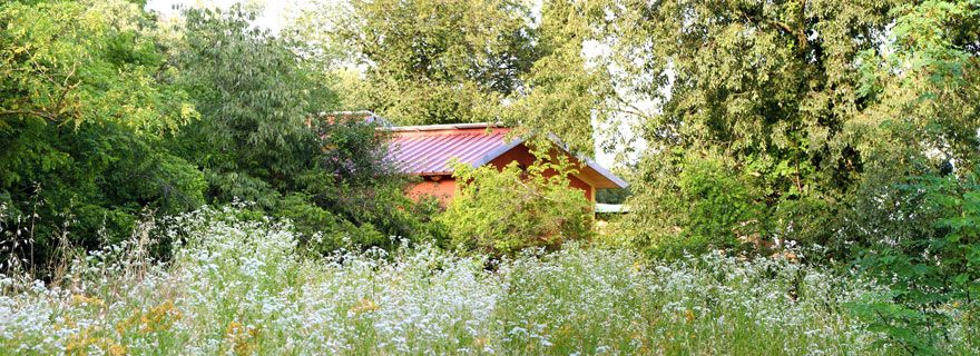 B&B Brojo Hill