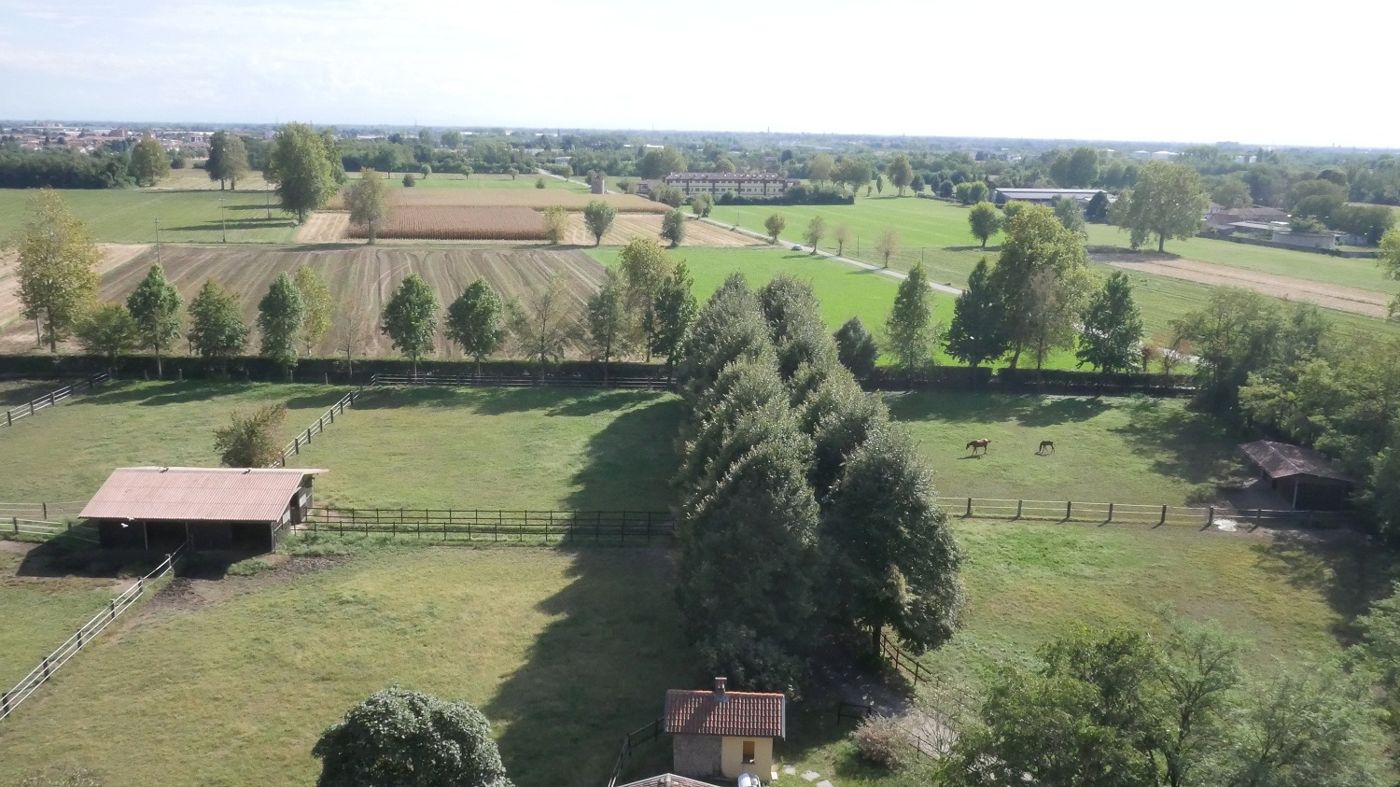 San Giacomo Horses