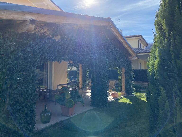B&B L'Ulivo