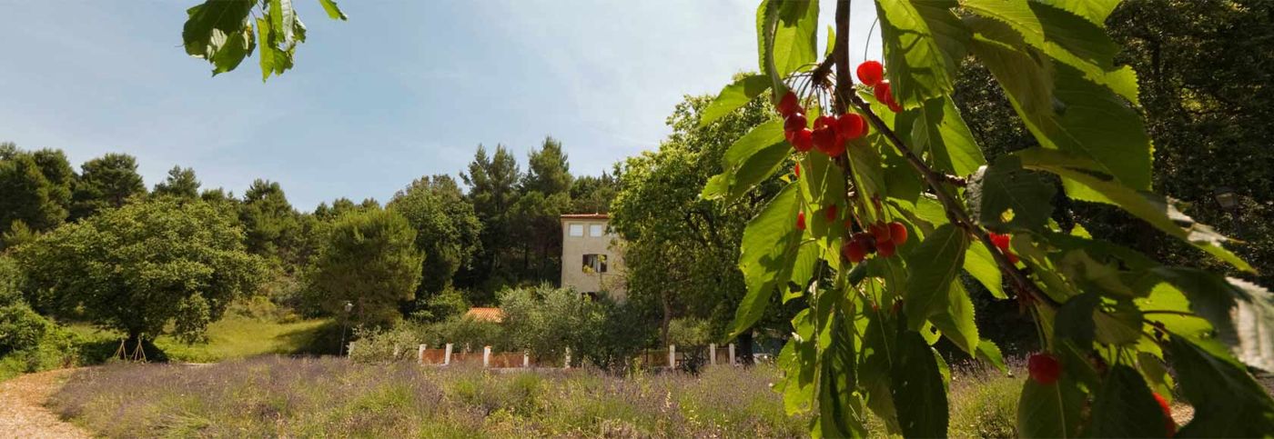 Affittacamere Le Fontanelle