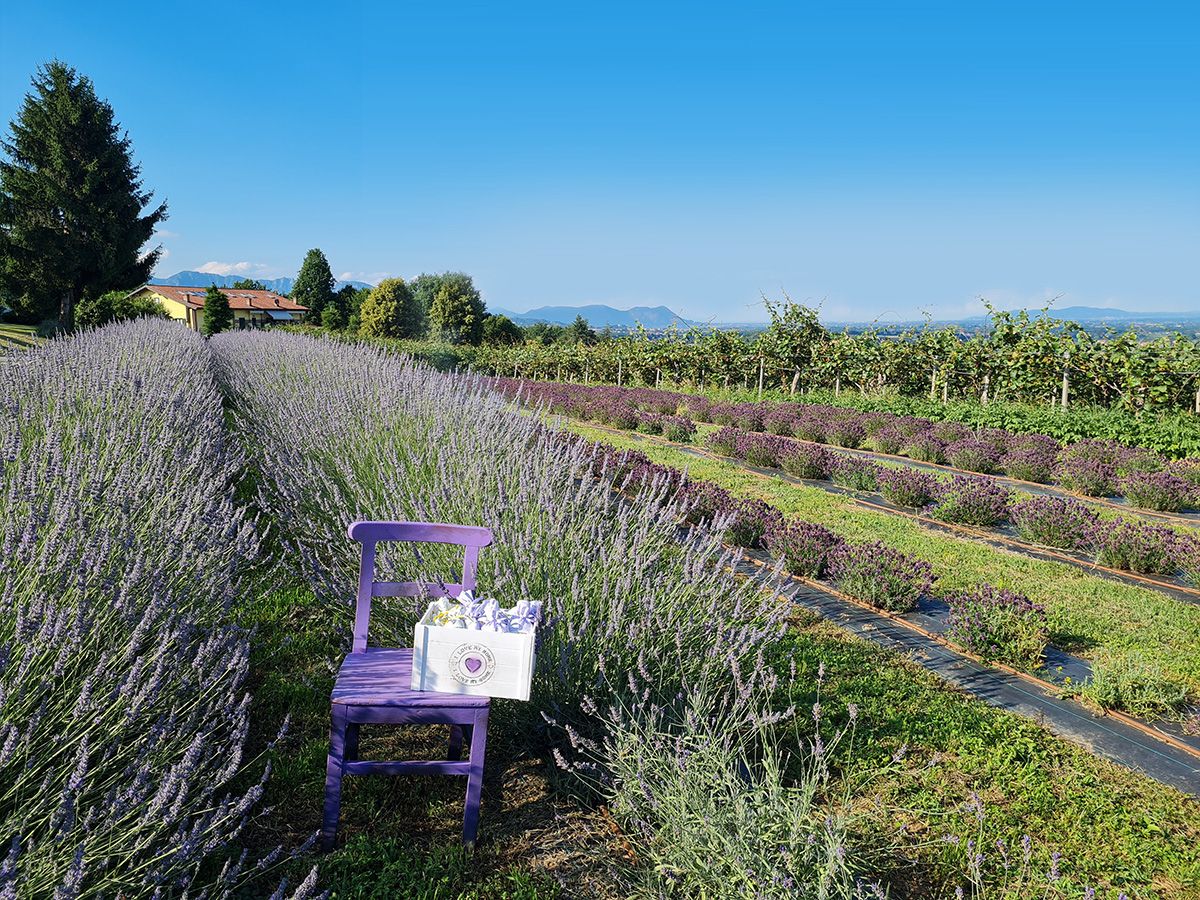 Agriturismo Turina