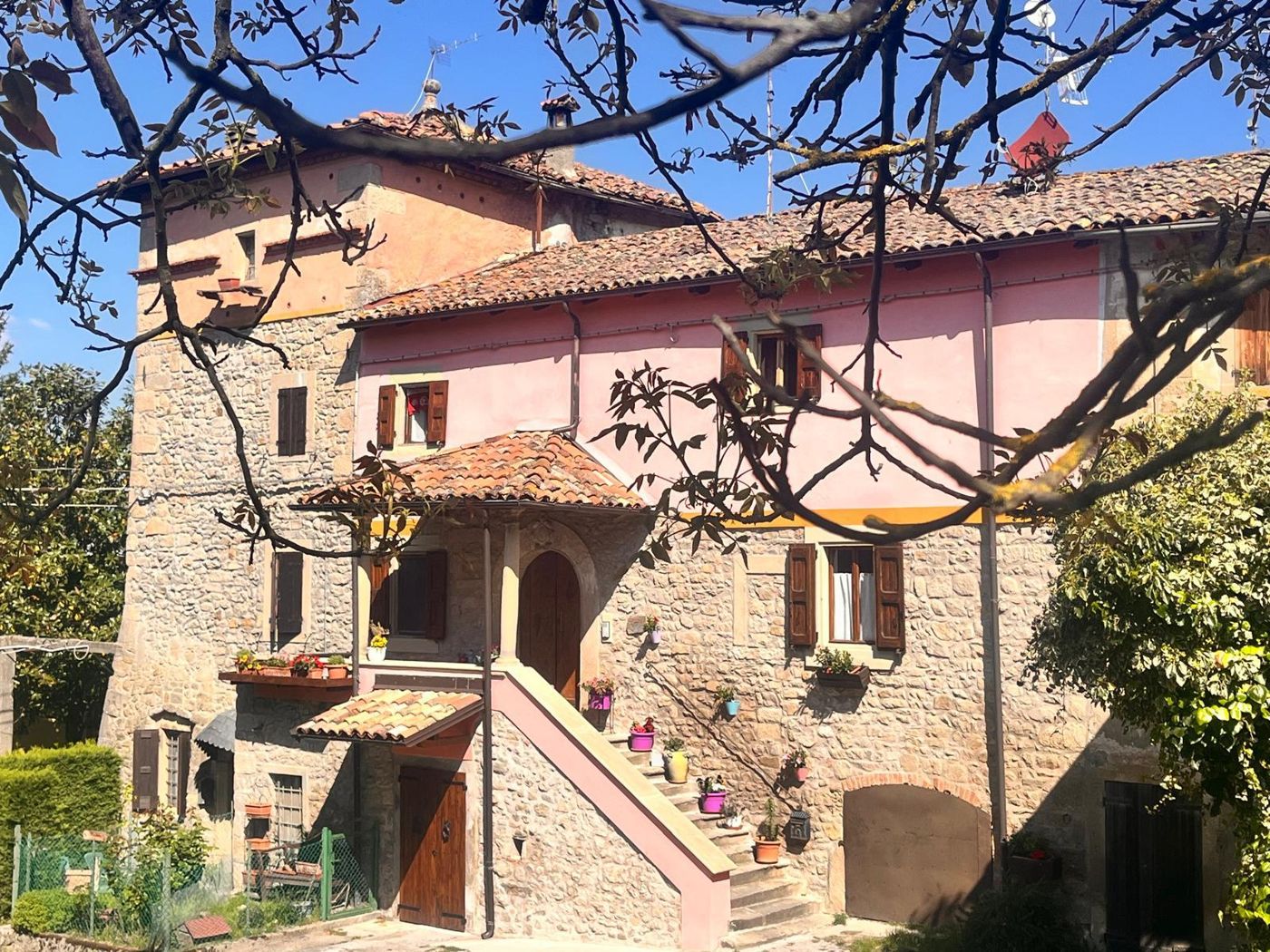 B&B Camelia