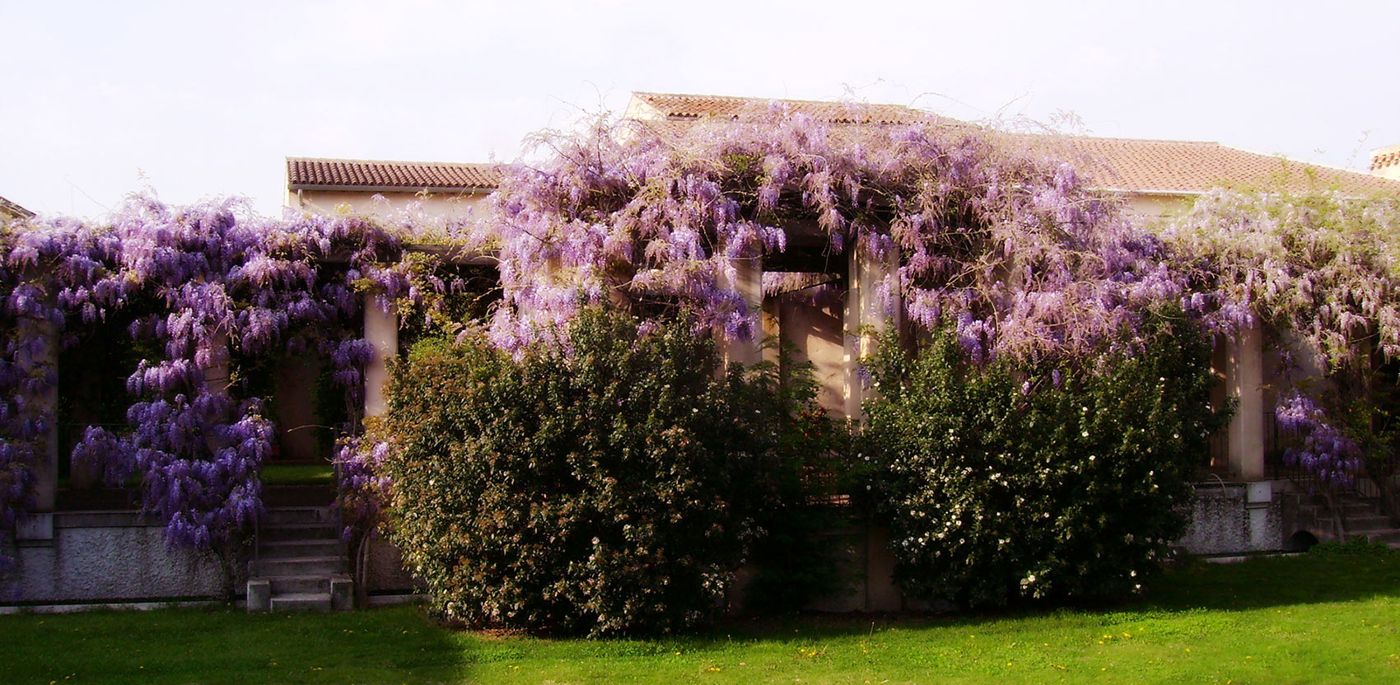 Ca' Bert Villa dei Glicini